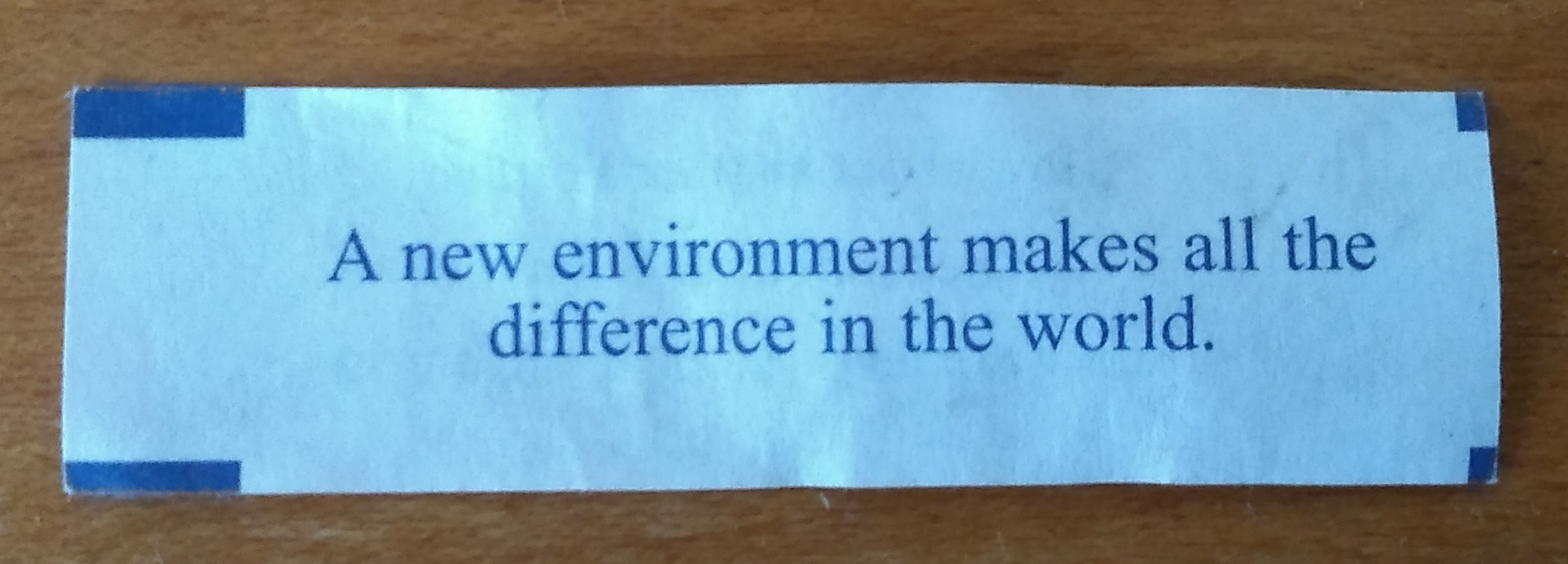 A new environment makes all the difference in the world.