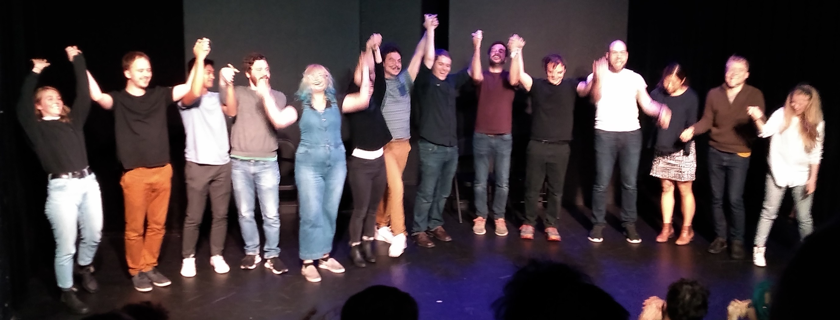 A rather blurry photo of the group lined up to take a bow.